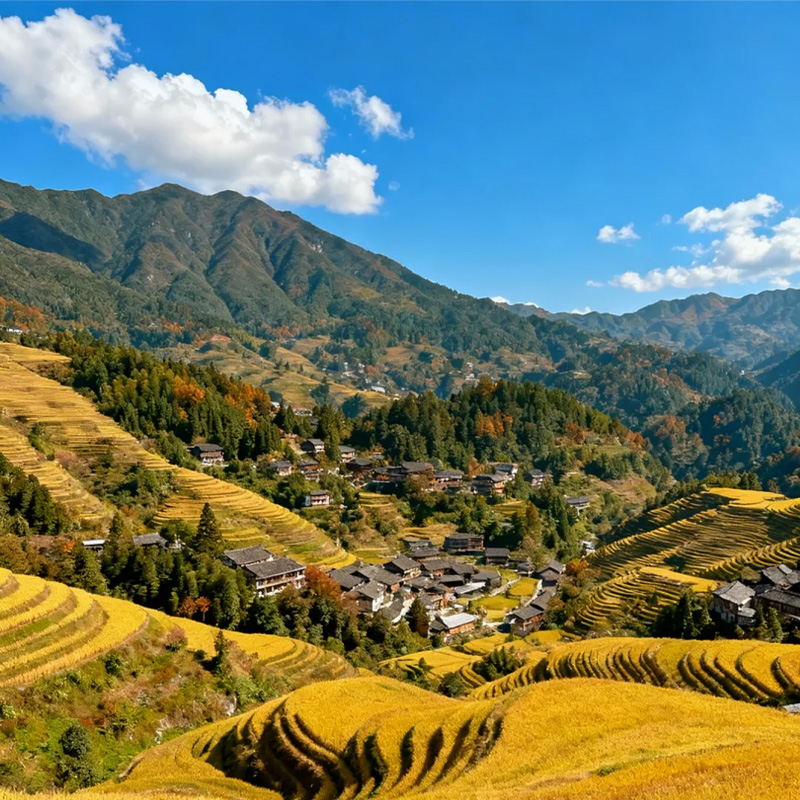 画板 1.jpg 画板 1.jpg