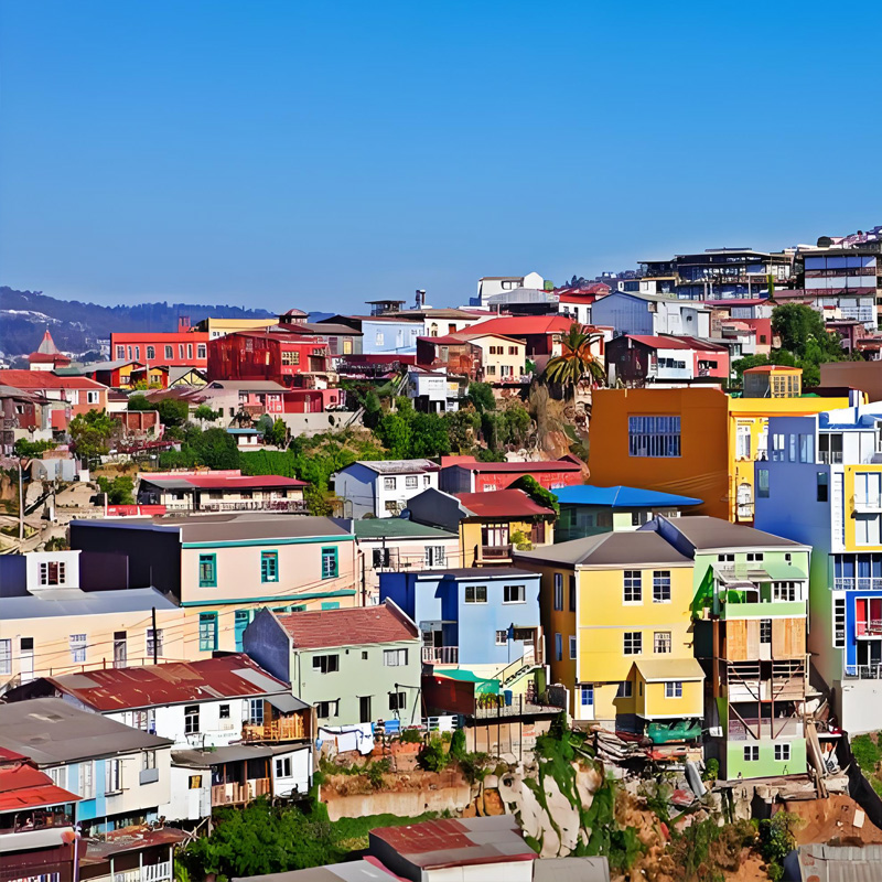 画板 1 拷贝 11.jpg