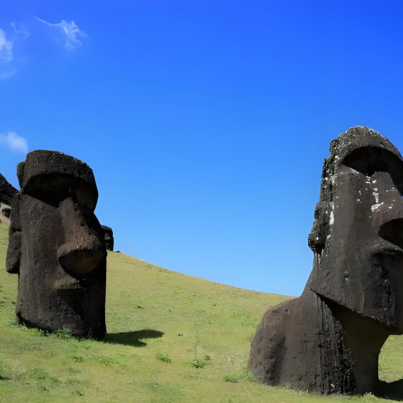 画板 1 拷贝 10.jpg