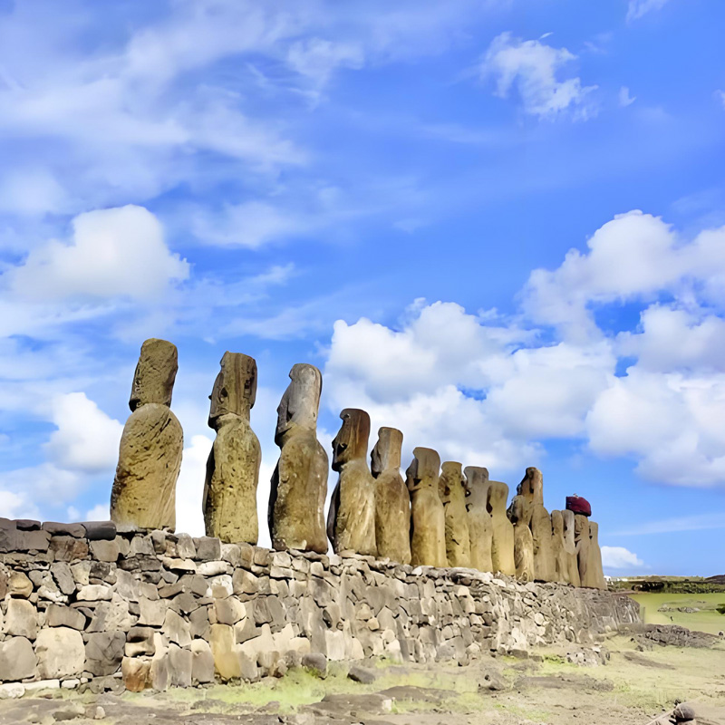 画板 1 拷贝 9.jpg