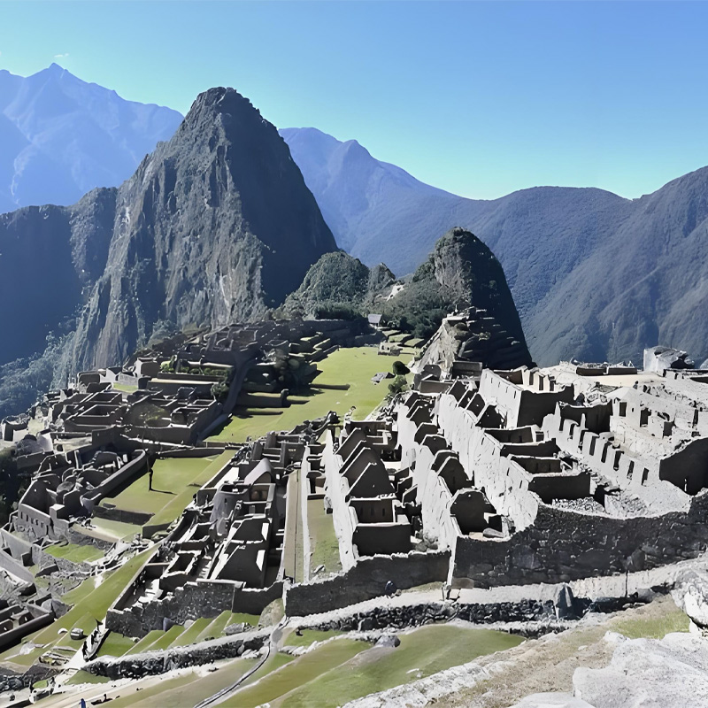 画板 1 拷贝 7-1.jpg